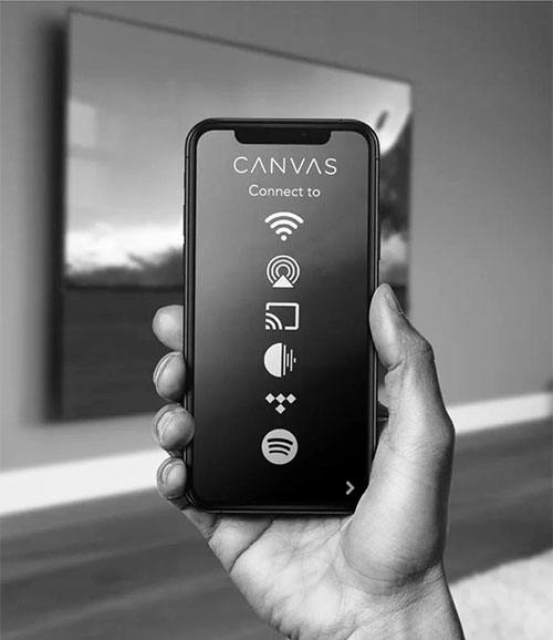 Canvas