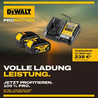 DeWALT Volle Ladung Leistung
