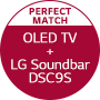 LG Perfect Match