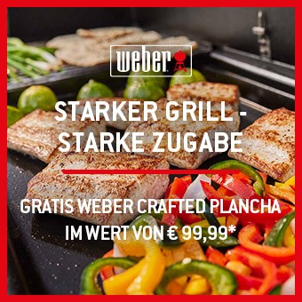 Weber Plancha Gratis