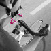 Celly Easybike Fahrradhalter Rosa/Pink