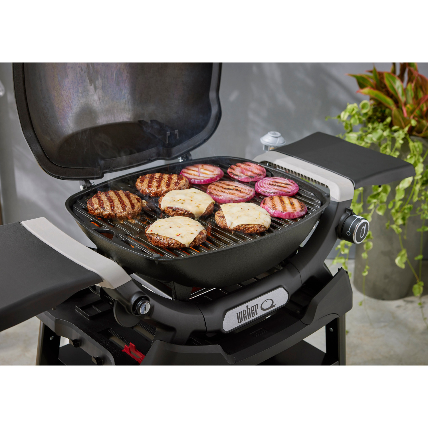 Weber Q200 Weber Q 2200 Bbq With Stand Portable Cart Baby Weber