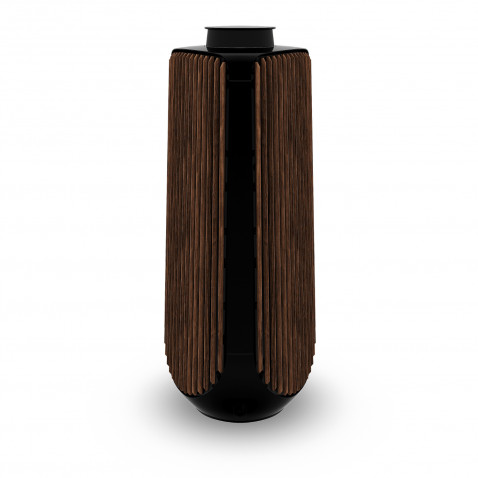 Bang & Olufsen BeoLab 50 Side Panel