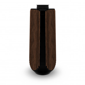 Bang & Olufsen BeoLab 50 Side Panel