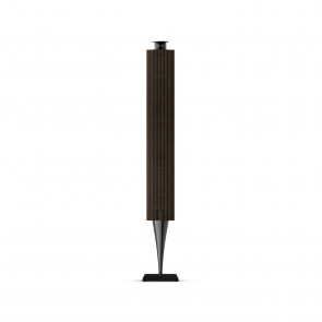 Bang & Olufsen Beolab 18 Cover Dark Oak