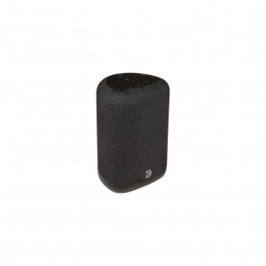 Bluesound Pulse Flex schwarz
