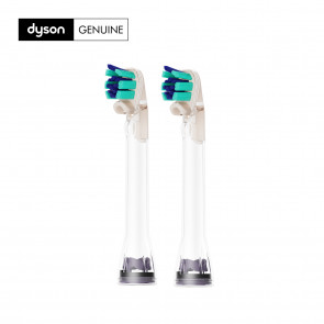 Dyson Standard-Bürstenköpfe (2 Stück)