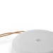 Bang & Olufsen Beosound A1 2nd Gen