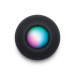 Apple HomePod mini Mitternacht MTJT3D/A