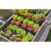 Gardena Micro-Drip-System Set