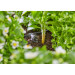 Gardena Micro-Drip-System Set