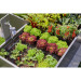Gardena Micro-Drip-System Set