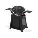 Weber Q 2200N Gasgrill mit Seitentischen