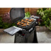 Weber Q 2200N Gasgrill mit Seitentischen
