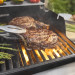 Weber SPIRIT EP-335 GBS Gasgrill