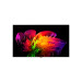 LG OLED77W69LA 4K OLED evo Signature TV