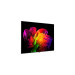 LG OLED77W69LA 4K OLED evo Signature TV