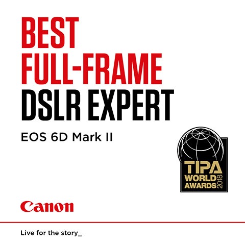 TIPA Award